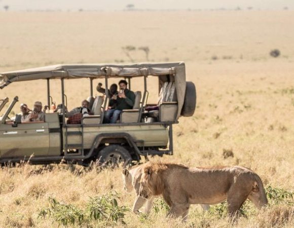 4 Days 3 Nights Masai Mara Safari Holiday