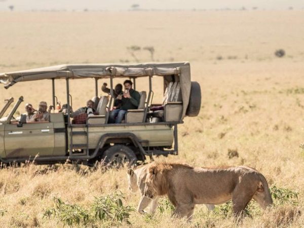 4 Days 3 Nights Masai Mara Safari Holiday