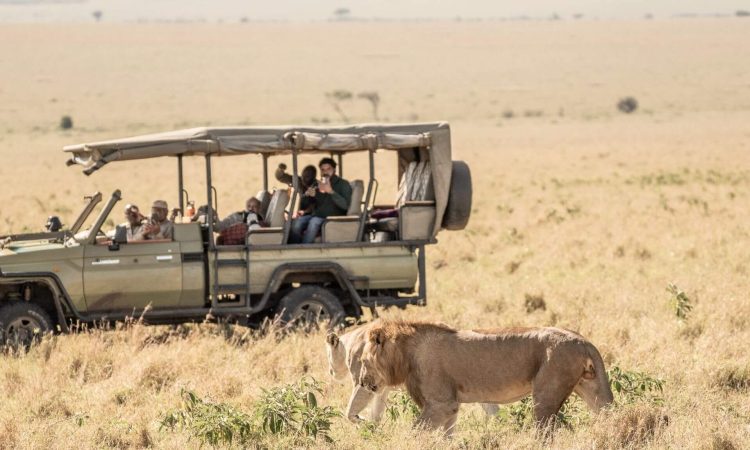 4 Days 3 Nights Masai Mara Safari Holiday