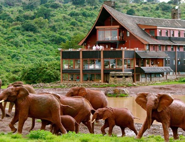 3 Days /2 Nights Road Package to Aberdares National Park