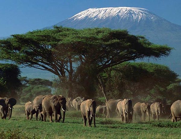 3 Days/ 2 Nights Jambo Kenya Amboseli Park by Road