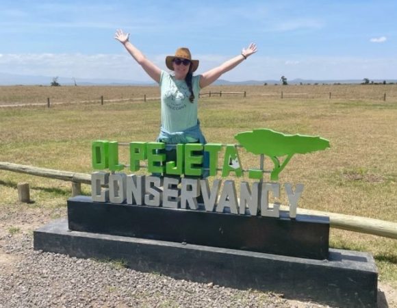 Tips for Planning the Perfect Safari