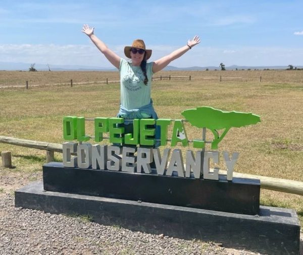 Tips for Planning the Perfect Safari