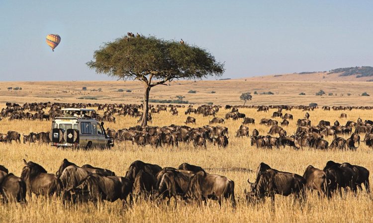 Maasai Mara