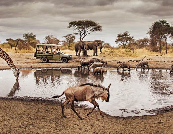 Tanzania Classic Safari