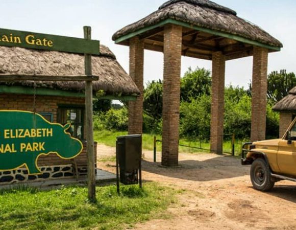 Lake Mburo, Bwindi Gorillas & Queen Elizabeth – 5 DAYS / 4 NIGHTS