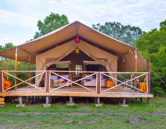 Classic Luxury 4 X 4 Masai Mara Migration Safari
