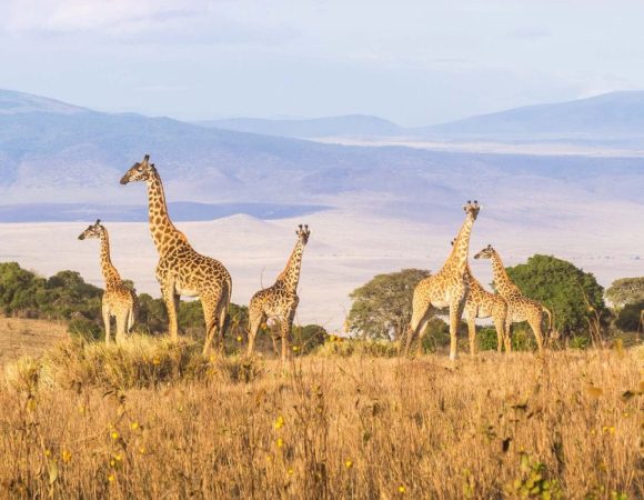Best Of Adventure in Kenya and Tanzania